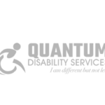 Quantum - Gray logo