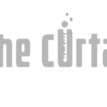 The Curtain lab - Gray Logo